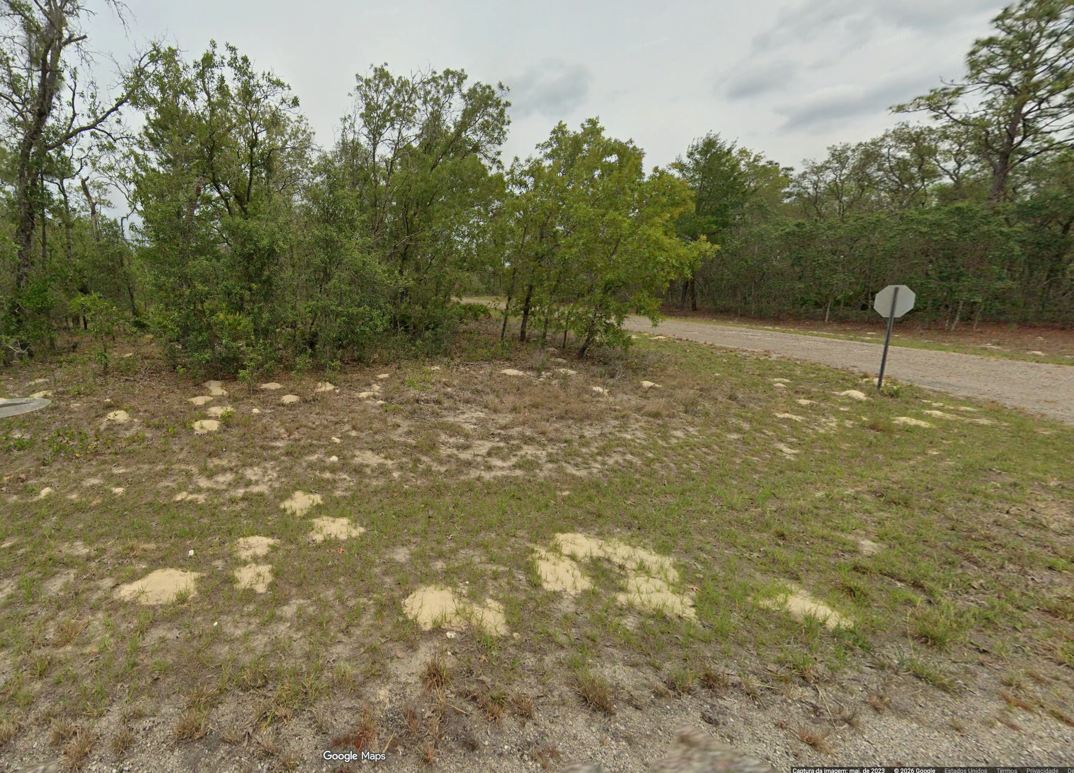 6614 N Underwood Dr — foto 2